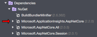 Microsoft.ApplicationInsights.AspNetCore